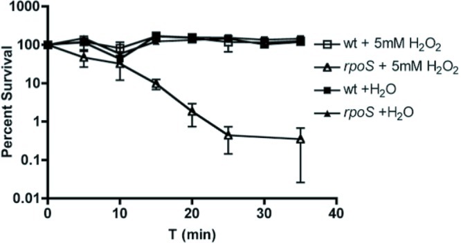 FIG 2 