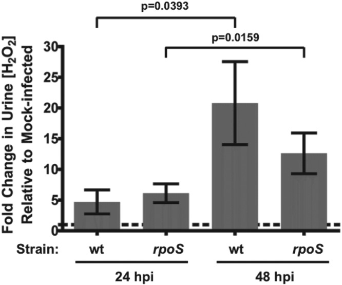 FIG 3 