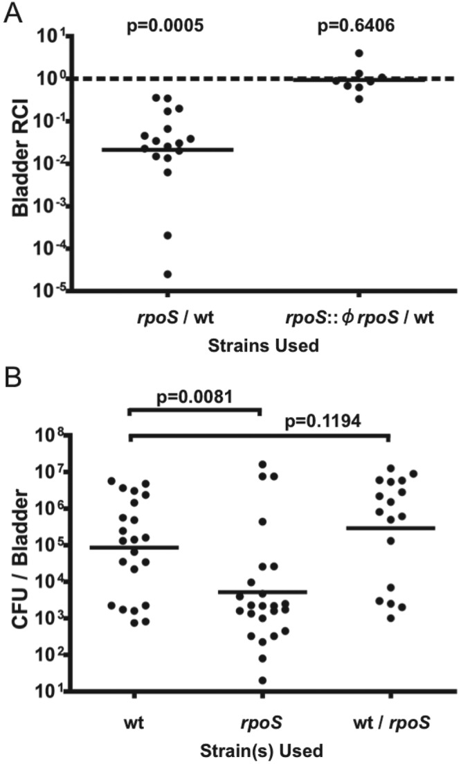 FIG 1 