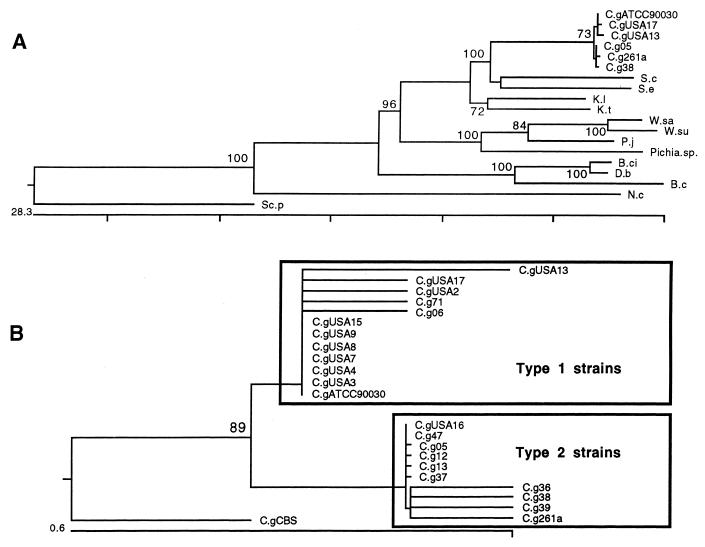 FIG. 5