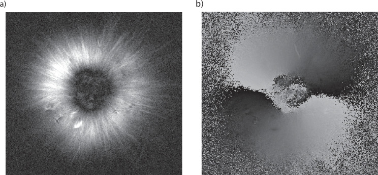 Appendix 1—figure 3.