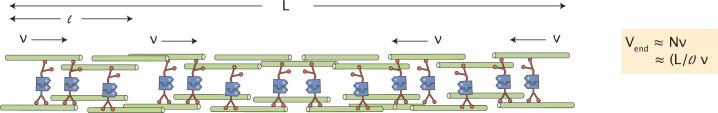 Figure 3—figure supplement 1.