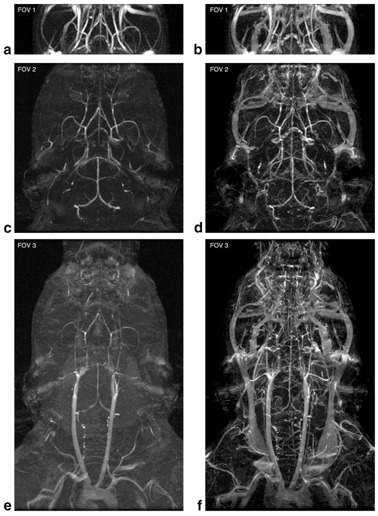 FIG. 5