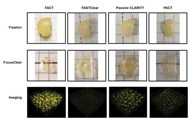 Fig.1