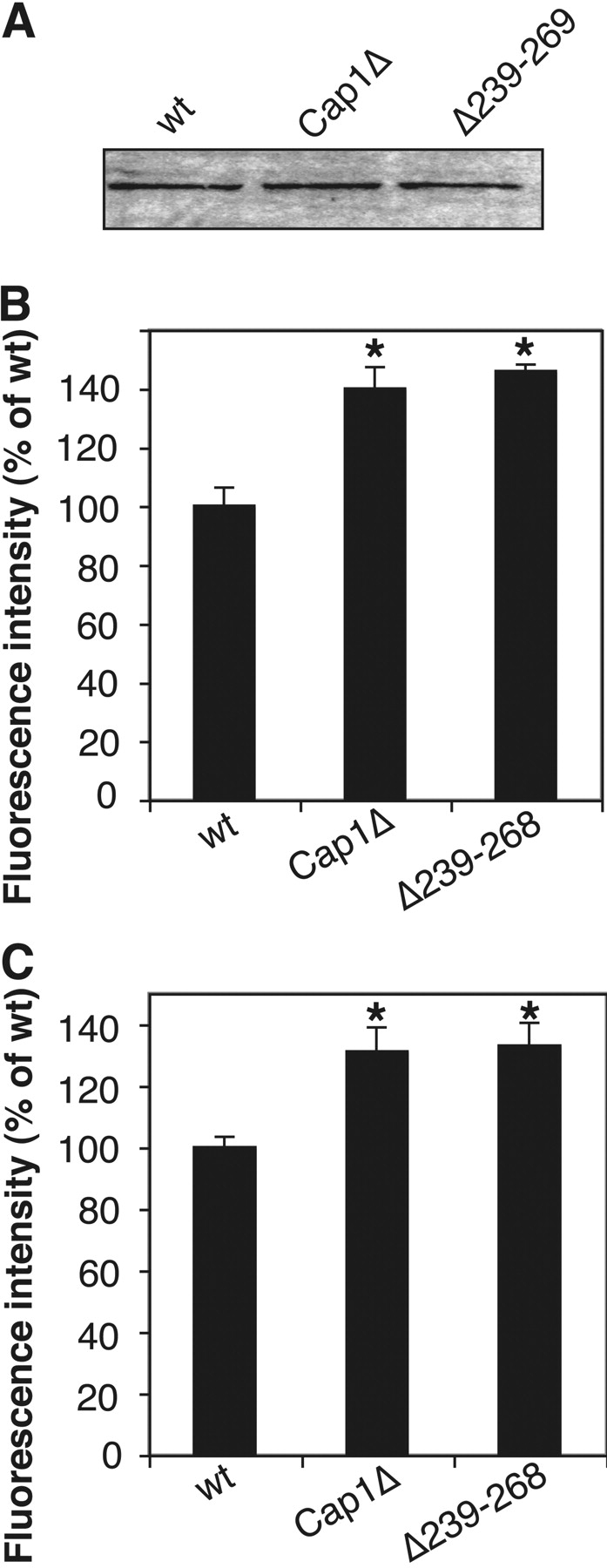 Figure 10.