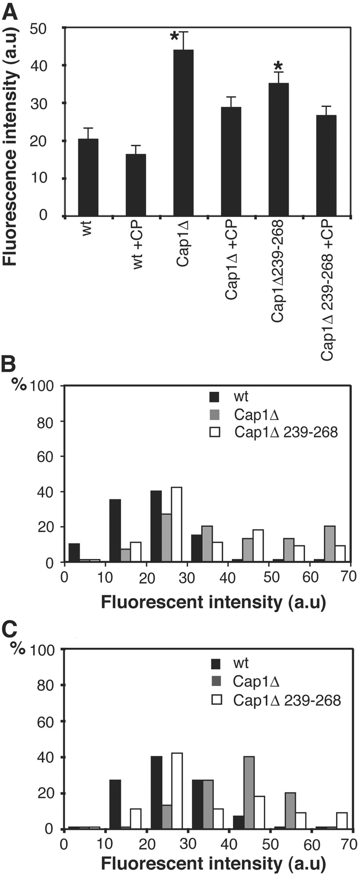 Figure 9.