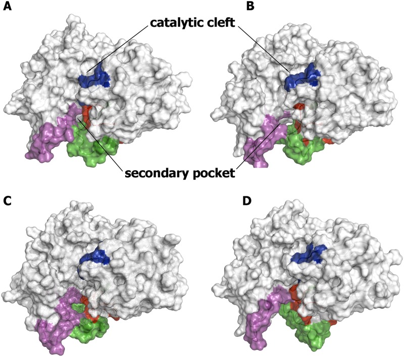 Fig 6