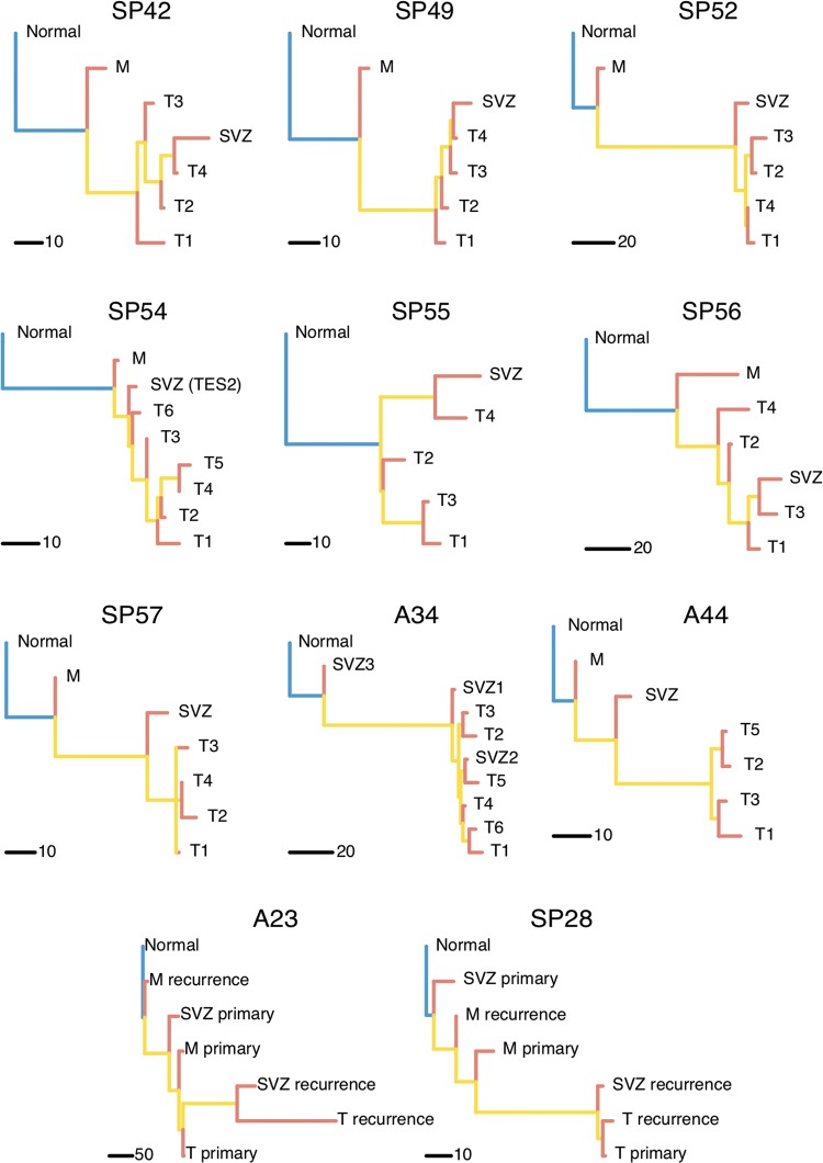 Figure 5.