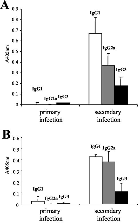 FIG. 5.