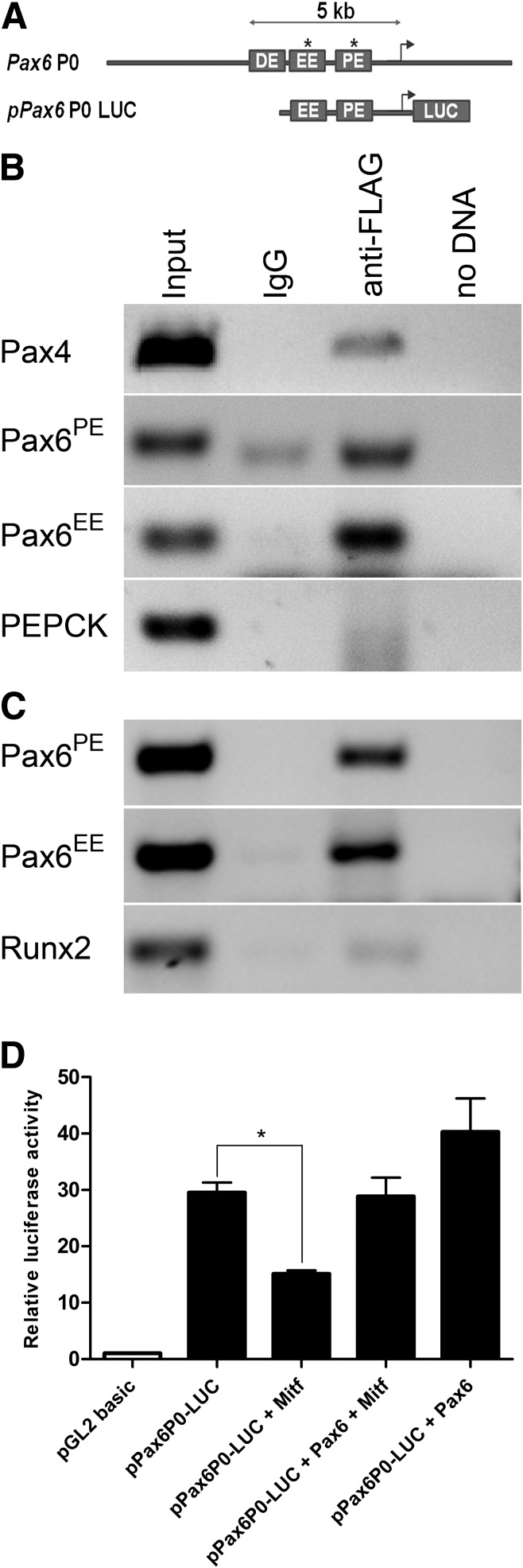 FIG. 6.