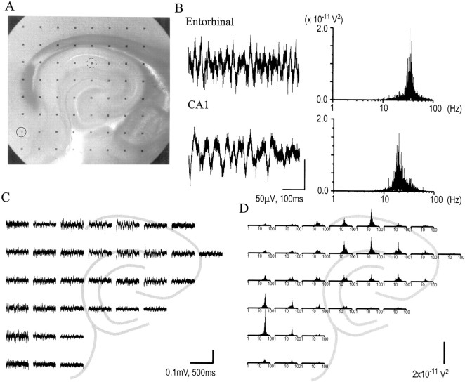 Fig. 11.