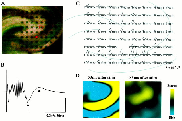 Fig. 13.