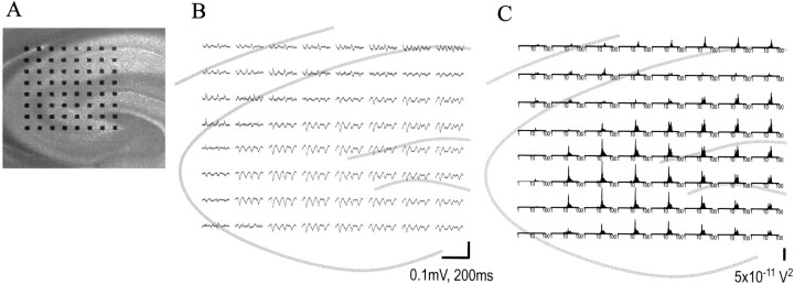 Fig. 7.