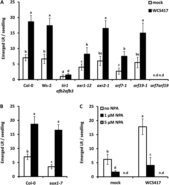 Figure 6.