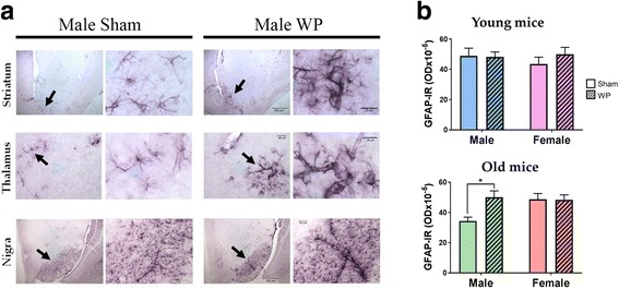 Fig. 12