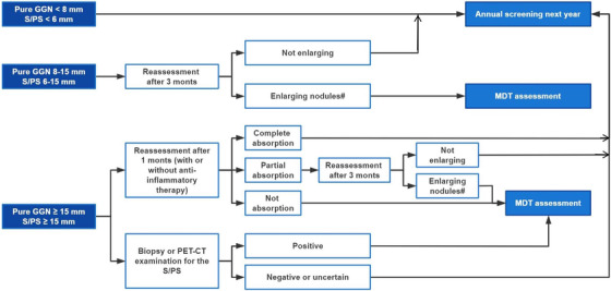 FIGURE 3