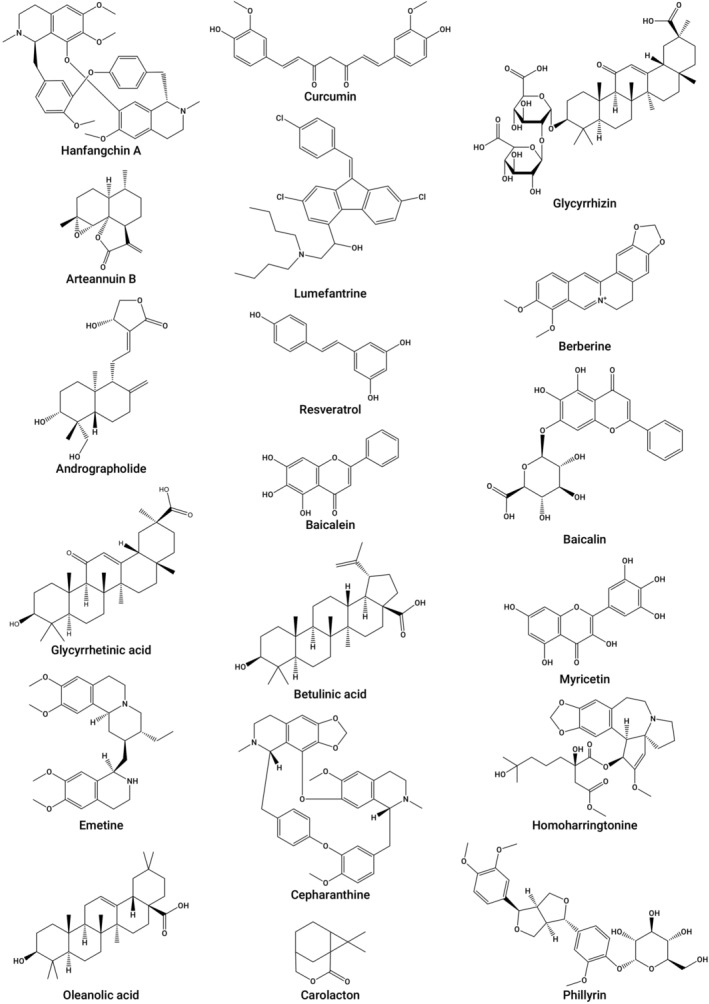 FIGURE 2