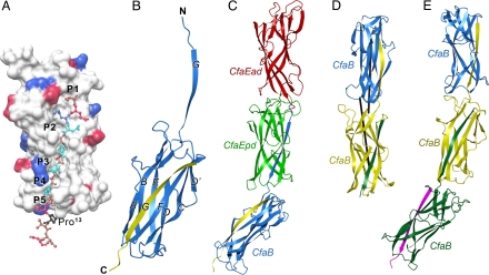 Fig. 2.