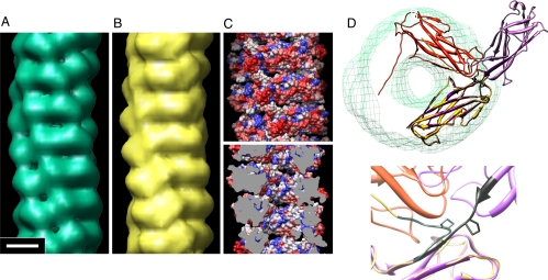 Fig. 4.