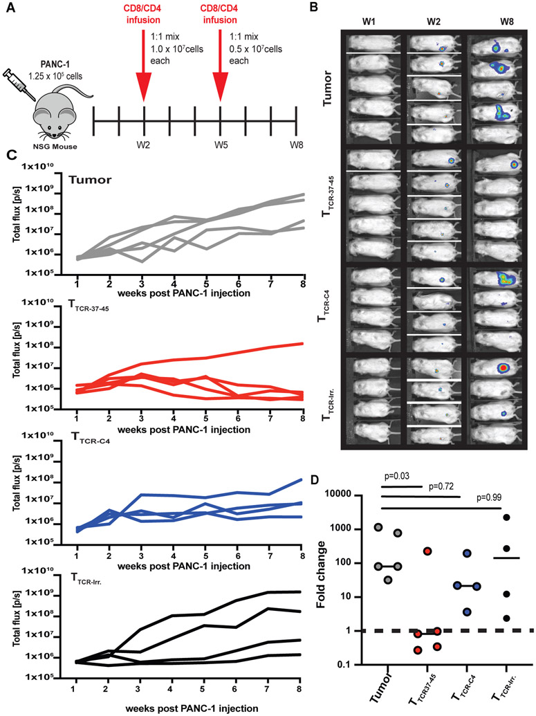 Fig 6: