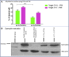 Figure 7