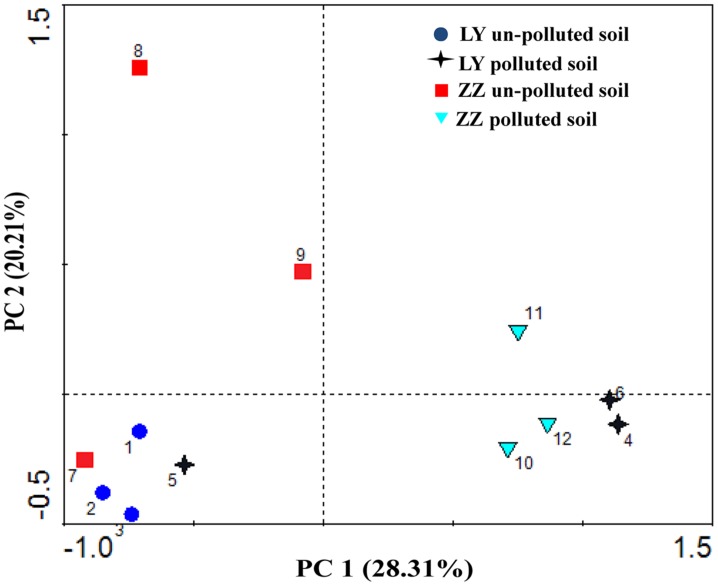 FIGURE 3