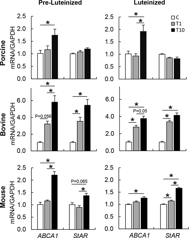 Figure 6.