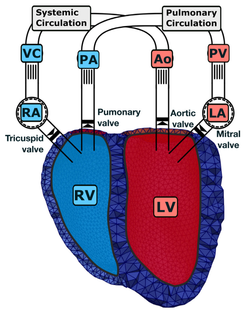 Fig. 12