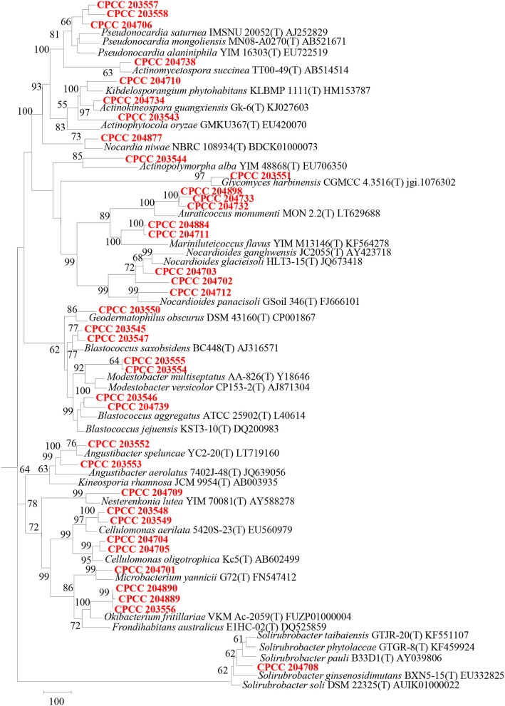 Figure 12