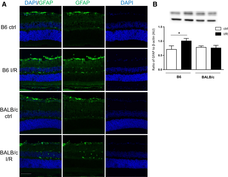 Figure 7