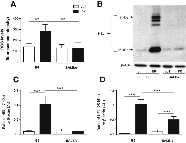 Figure 6