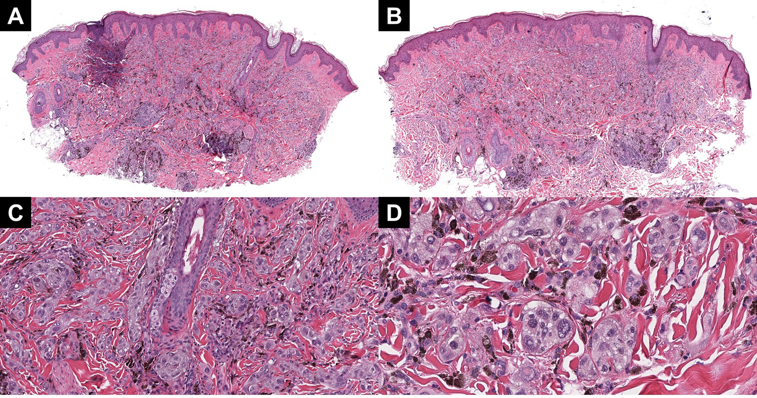 Figure 3: