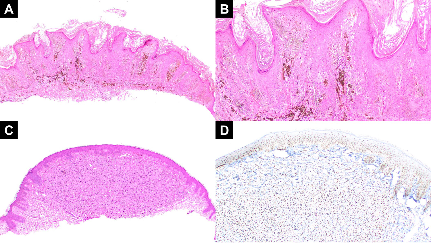 Figure 5: