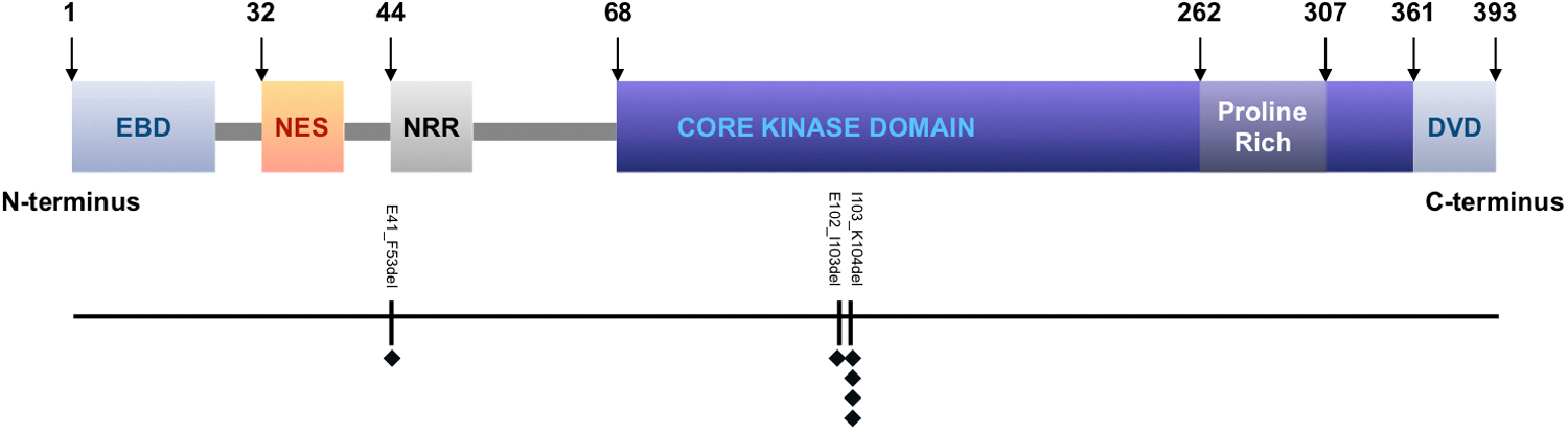 Figure 6: