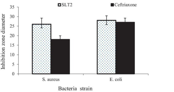 FIGURE 15