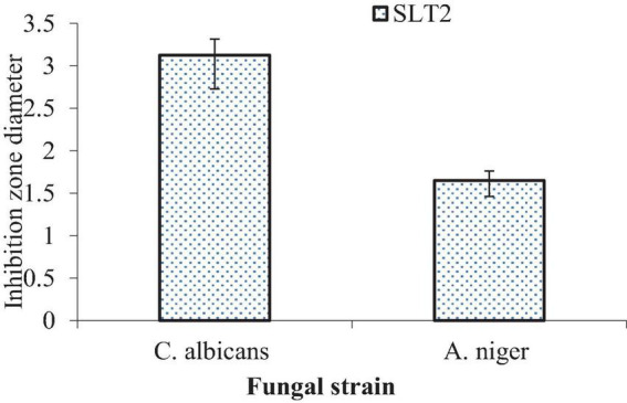 FIGURE 18