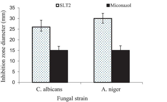 FIGURE 17