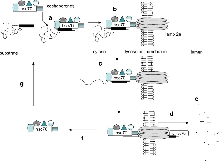 Fig. 2