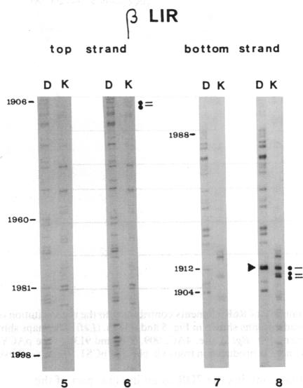 graphic file with name pnas01048-0062-a.jpg