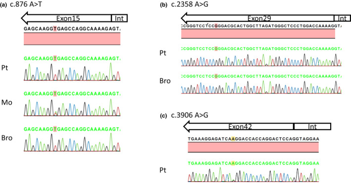 FIGURE 1