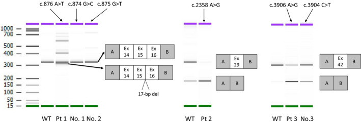 FIGURE 3