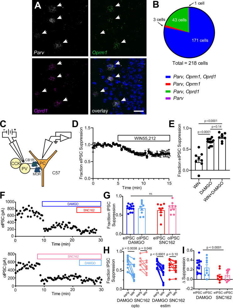 Figure 1—figure supplement 1.