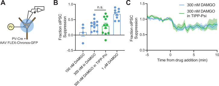 Figure 6—figure supplement 1.