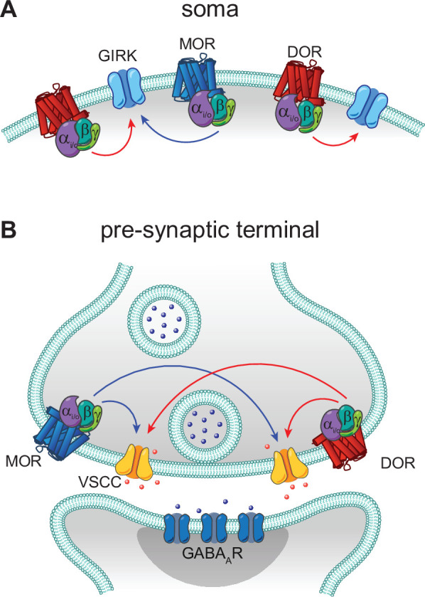 Figure 7.