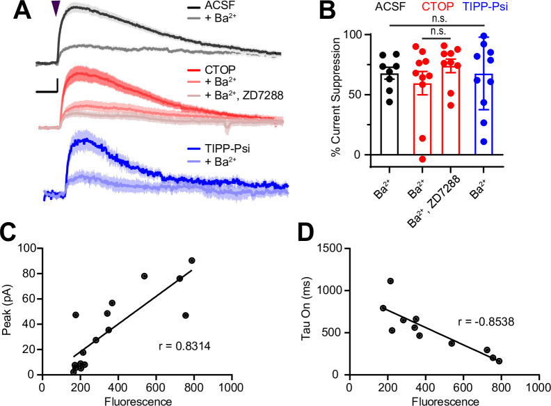 Figure 4—figure supplement 1.