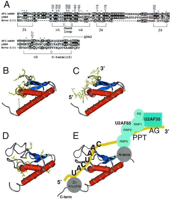 FIG. 6