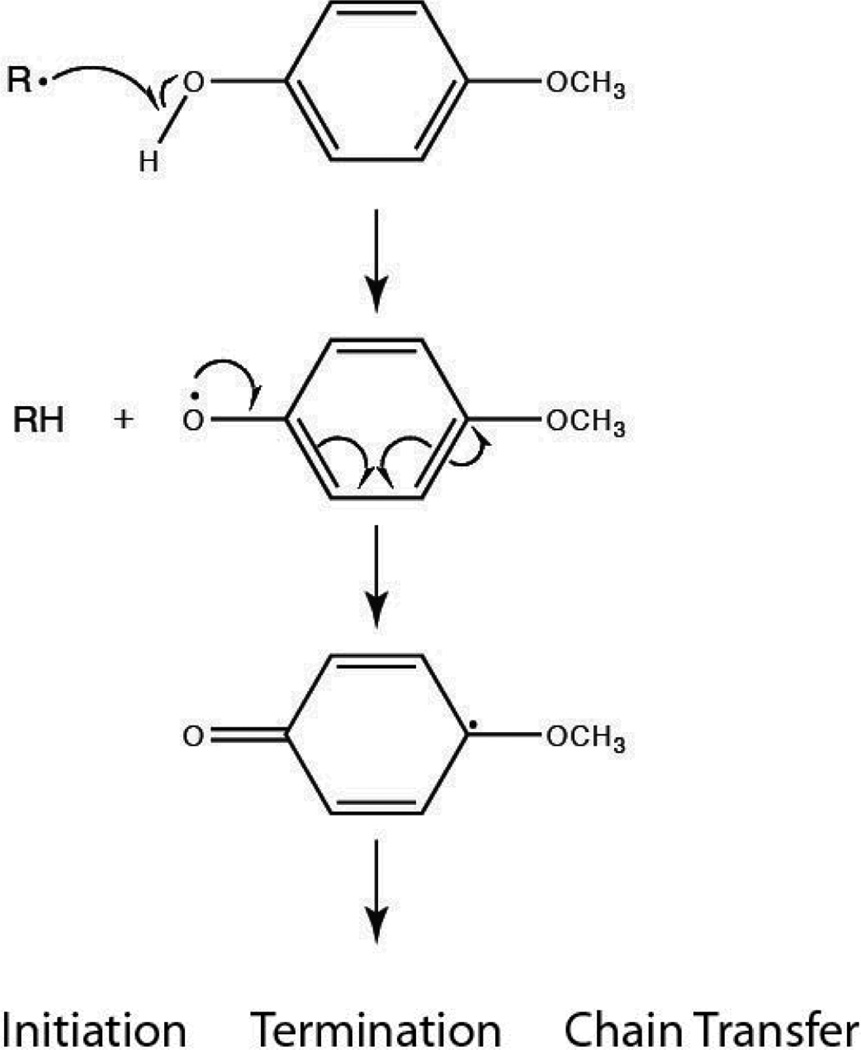 Scheme 4