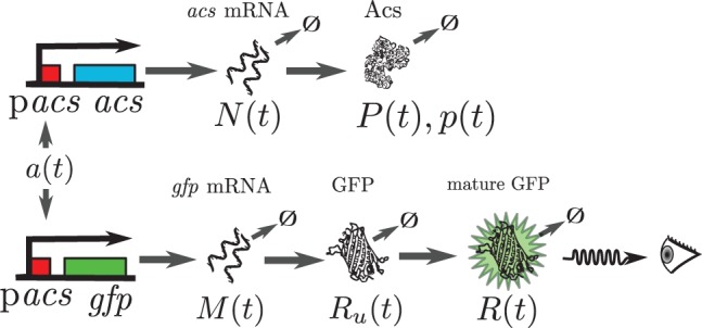 Fig. 1.