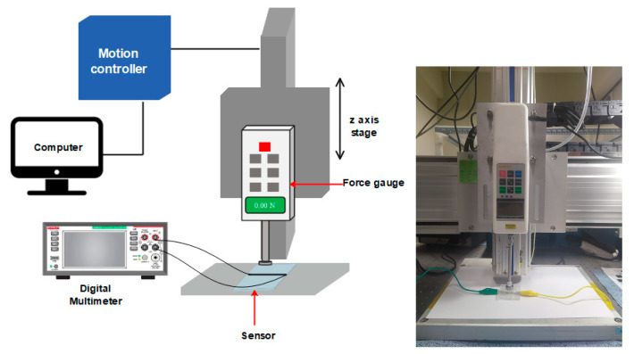 Figure 6