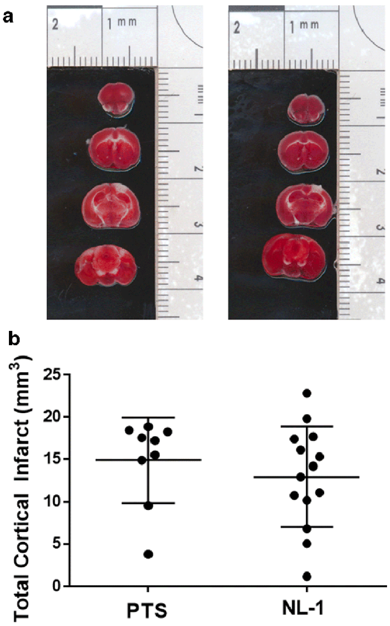 Fig. 12: